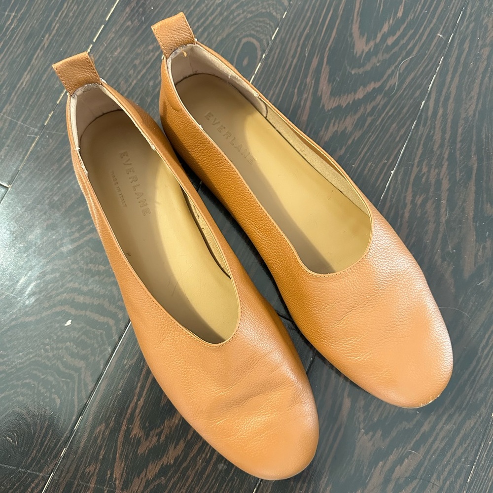 Everlane Day Glove Sz. 7.5